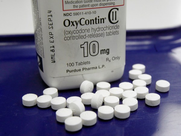 FILE - This Feb. 19, 2013, file photo, shows OxyContin pills arranged for a photo at a pharmacy in Montpelier, Vt. Prescription painkillers should not be a first-choice for treating common ailments like back pain and arthritis, according to new federal guidelines designed to reshape how doctors prescribe drugs like OxyContin and Vicodin. Amid an epidemic of addiction and abuse tied to these powerful opioids drugs, the CDC is urging general doctors to try physical therapy, exercise and over-the-counter pain medications before turning to painkillers for chronic pain. (AP Photo/Toby Talbot, File)