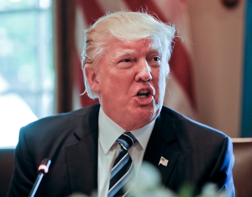 President Donald Trump answers a question from a member of the media during a luncheon with Argentine President Mauricio Macri in the Cabinet Room of the White House in Washington, Thursday, April 27, 2017.  (AP Photo/Pablo Martinez Monsivais)