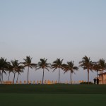 Palm trees are seen across a lawn at Mar-a-Lago where President Donald Trump and Chinese President Xi Jinping are meeting, Thursday, April 6, 2017, in Palm Beach, Fla. (AP Photo/Alex Brandon)