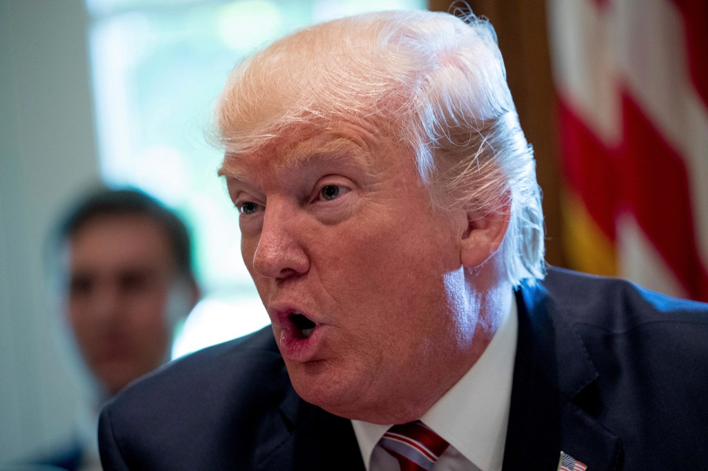 President Donald Trump speaks during a cabinet meeting in the Cabinet Room of the White House, Monday, June 12, 2017, in Washington. (AP Photo/Andrew Harnik)