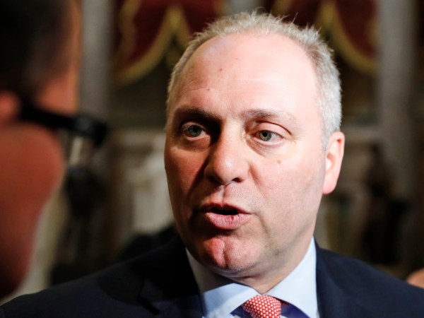 Majority Whip Rep. Steve Scalise, R-La., speaks with the media on Capitol Hill, Wednesday, May 17, 2017 in Washington. (AP Photo/Alex Brandon)