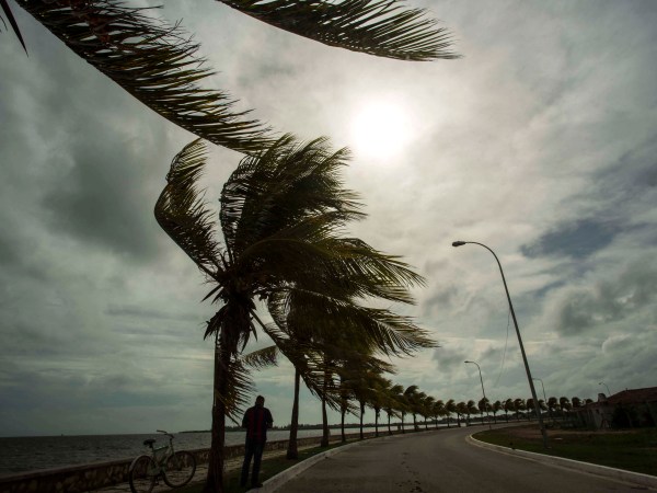 A man stands as the wind blows on the Malecon in Caibarien, central Cuba, Friday, Sept. 8, 2017. (AP Photo/Desmond Boylan)