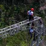 Whitefish Energy workers work on power line towers in Barceloneta, Puerto Rico, Sunday, Oct. 15, 2017.(AP Photo/Ramon Espinosa)