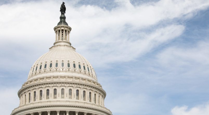 A view of the Capitol Dome from the West Lawn of the U.S. Capitol, on Monday, July 3, 2017.  (Photo by Cheriss May/NurPhoto)