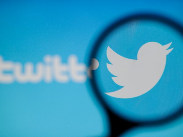 A Twitter logo is seen on a computer screen on November 20, 2017. (Photo by Jaap Arriens/NurPhoto)