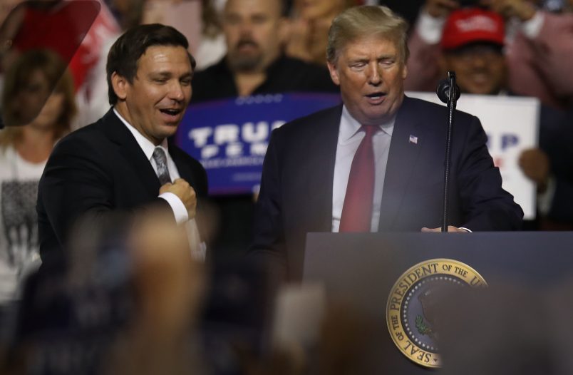 on July 31, 2018 in Tampa, Florida.
