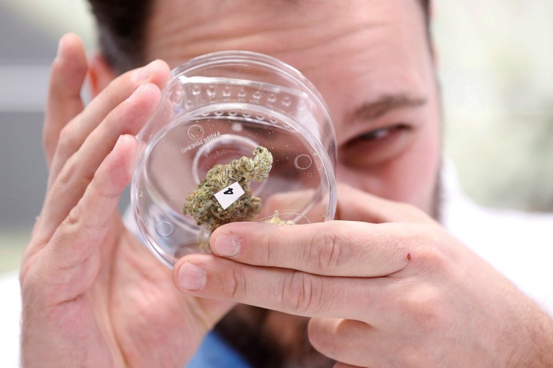 Jean Marc checks out a sample at a cannabis store in Winnipeg, Man., on Wednesday, October 17, 2018. Marijuana is now legal in Canada. (John Woods/The Canadian Press via AP)