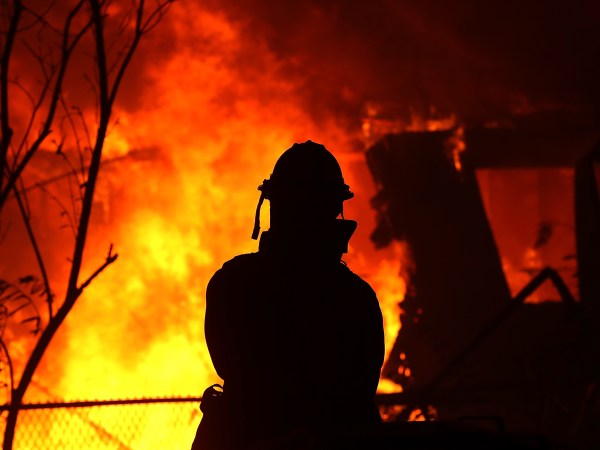 (Photo by Justin Sullivan/Getty Images)