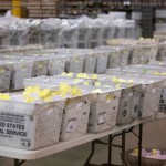 PALM BEACH, FL - NOVEMBER 18: Election ballot trays  at the Supervisor of Elections Service Center on November 18, 2018 in Palm Beach, Florida. (Photo by Saul Martinez/Getty Images)