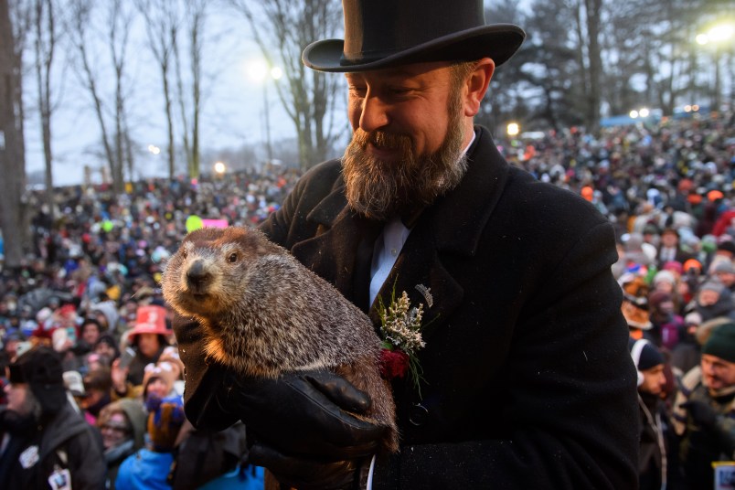 PUNXSUTAWNEY, PA - FEBRUARY 02:Handler AJ Dereume holds Punxsutawney Phil after he did not see his shadow predicting an early spring  during the 133rd annual Groundhog Day festivities on February 2, 2019 in Punxsutawney, Pennsylvania. Groundhog Day is a popular tradition in the United States and Canada. A crowd of upwards of 30,000 people spent a night of revelry awaiting the sunrise and the groundhog's exit from his winter den. If Punxsutawney Phil sees his shadow he regards it as an omen of six more weeks of bad weather and returns to his den. Early spring arrives if he does not see his shadow, causing Phil to remain above ground.   (Photo by Jeff Swensen/Getty Images)