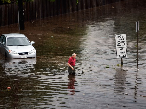 on December 18, 2009 in Miami, Florida.