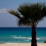 In this image taken on Sunday, May 10 2020, sunbathers sit on an empty stretch of ‘Landa’ beach at the Cyprus seaside resort of Ayia Napa, a favorite among tourists from Europe and beyond. (AP Photo/Petros Karadjias)