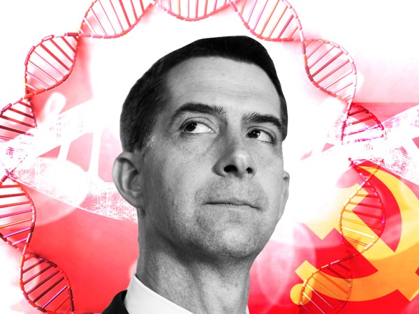 Tom Cotton
