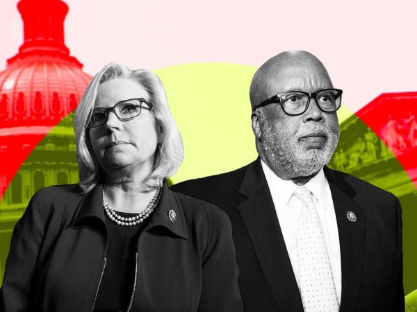 Reps. Liz Cheney and Bennie Thompson