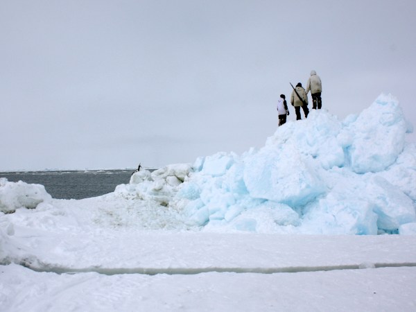 Arctic