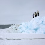 Arctic